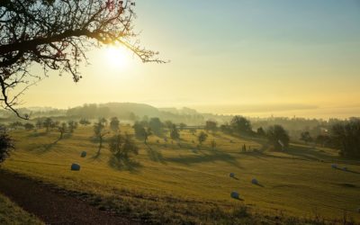 Sonnenaufgang, Überlingen, Bodensee, Alpen, Rutengehen, Radiästhesie, Wasseradern, Erdverwerfungen