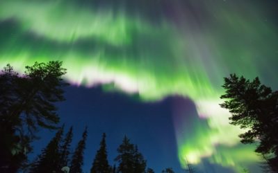 Erdmagnetfeld, Polarlichter, Aurora Borealis, Wald, Nacht, grün, blau, weiß, rot