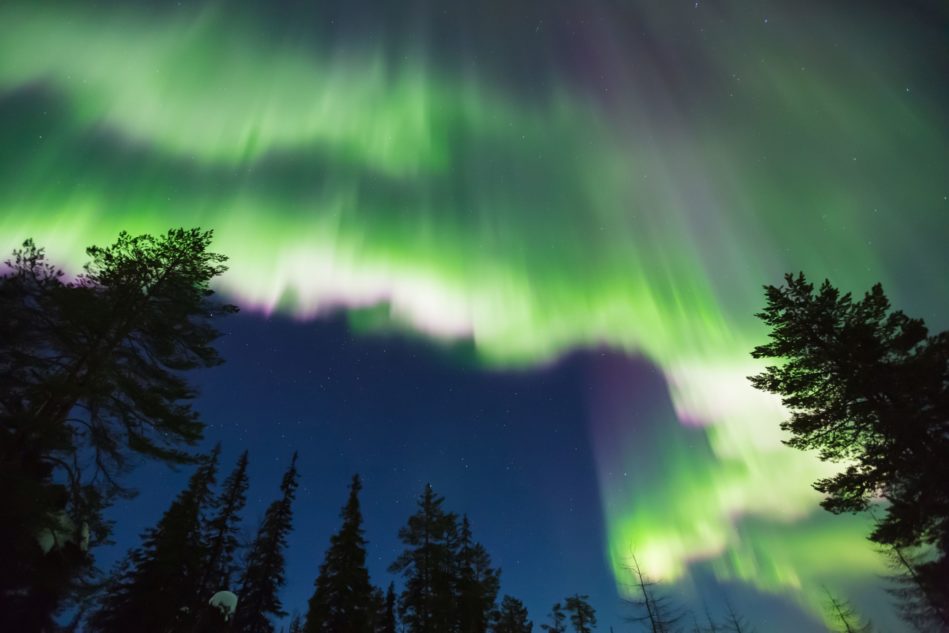 Northern Lights (Aurora Borealis) In The Sky Erdmagnetfeld, Polarlichter, Aurora Borealis, Wald, Nacht, grün, blau, weiß, rot