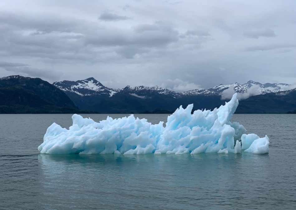 Klimaschutz gleich Umweltschutz?