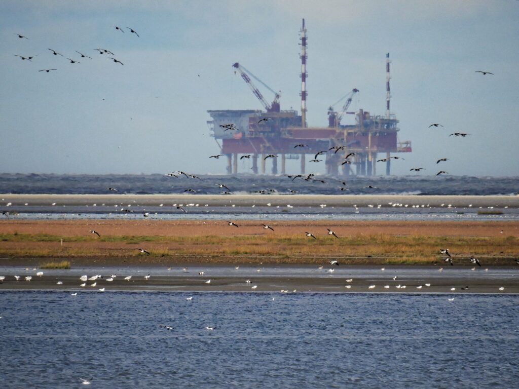 Triputi - Energieheilung für Mensch und Raum, Energetisches Feng Shui, Ist das schwarze Gold wirklich fossil?, Meeresstrand mit Vögeln im Vordergrund und Ölplattform im offenen Meer im Hintergrund, Rot- und Blautöne mit weißen Einsprengseln